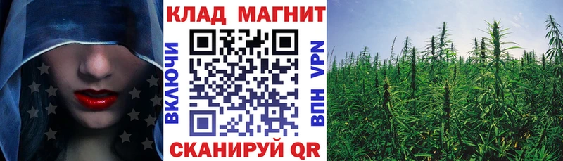 Названия наркотиков Шенкурск ГАШИШ Псилоцибиновые грибы МЕФ Марихуана