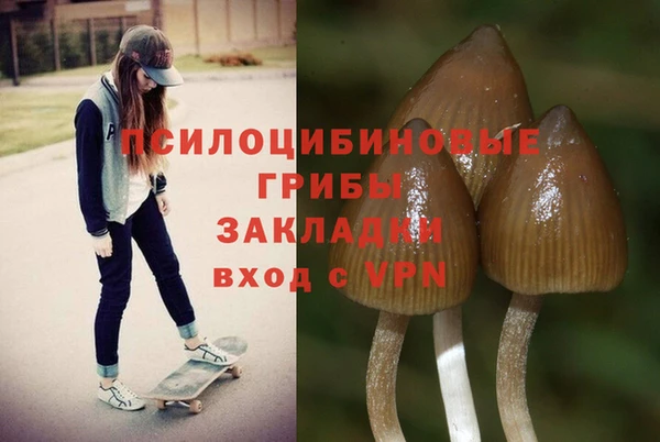 шишки Абдулино