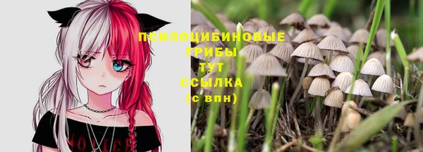 шишки Абдулино
