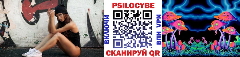 Псилоцибиновые грибы Psilocybine cubensis  ОМГ ОМГ   Шенкурск  как найти закладки 