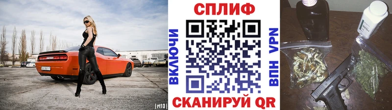 omg онион  Шенкурск  Бошки Шишки план 
